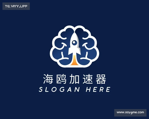 关于海鸥加速器